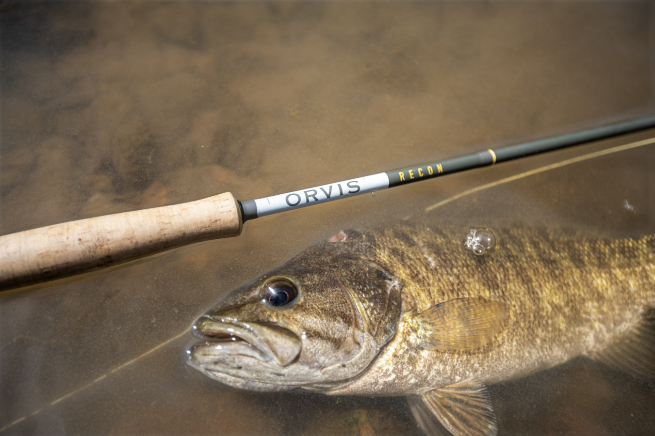 A bass next to the Orvis Recon fly rod.