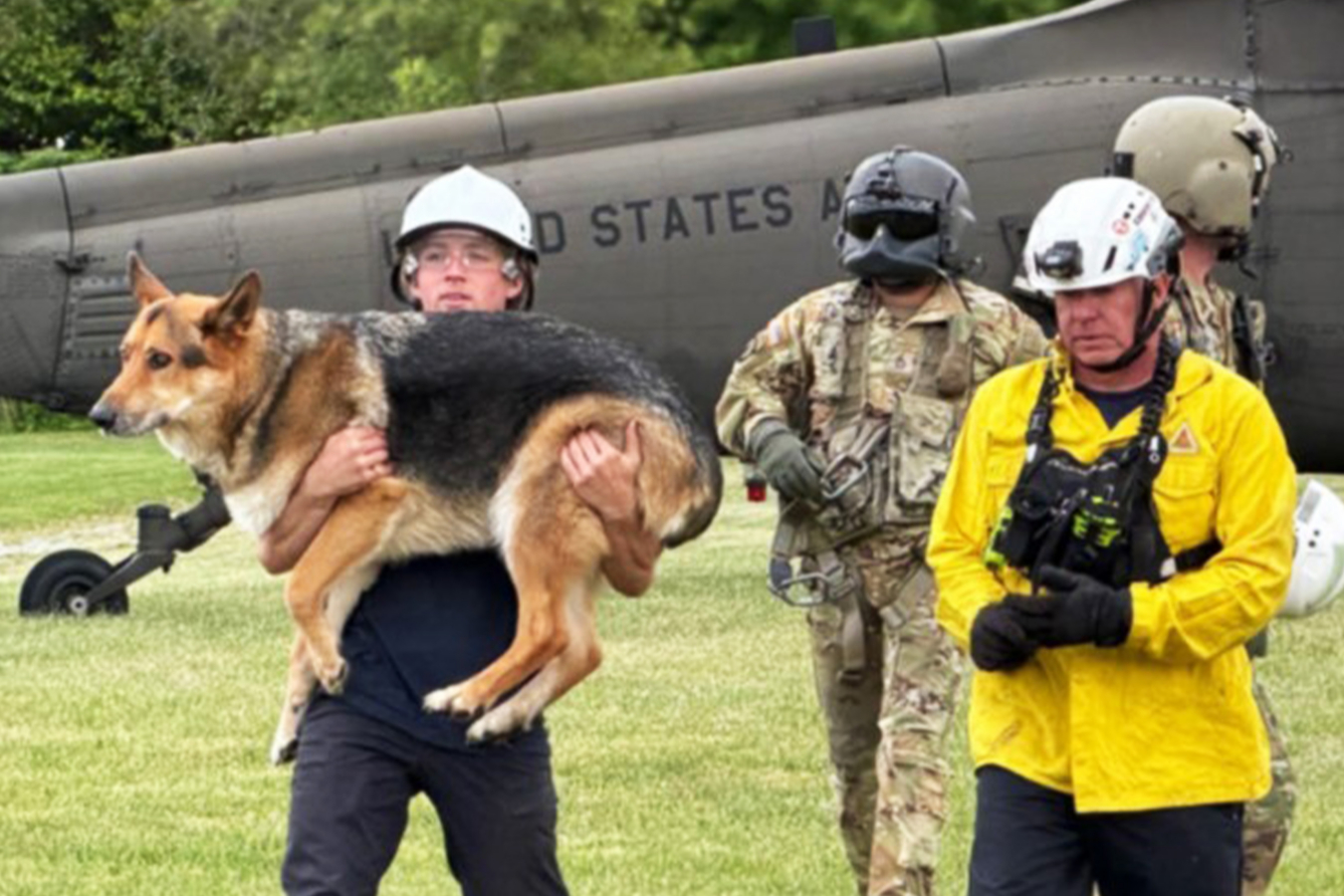 Dog being carried from helicopter