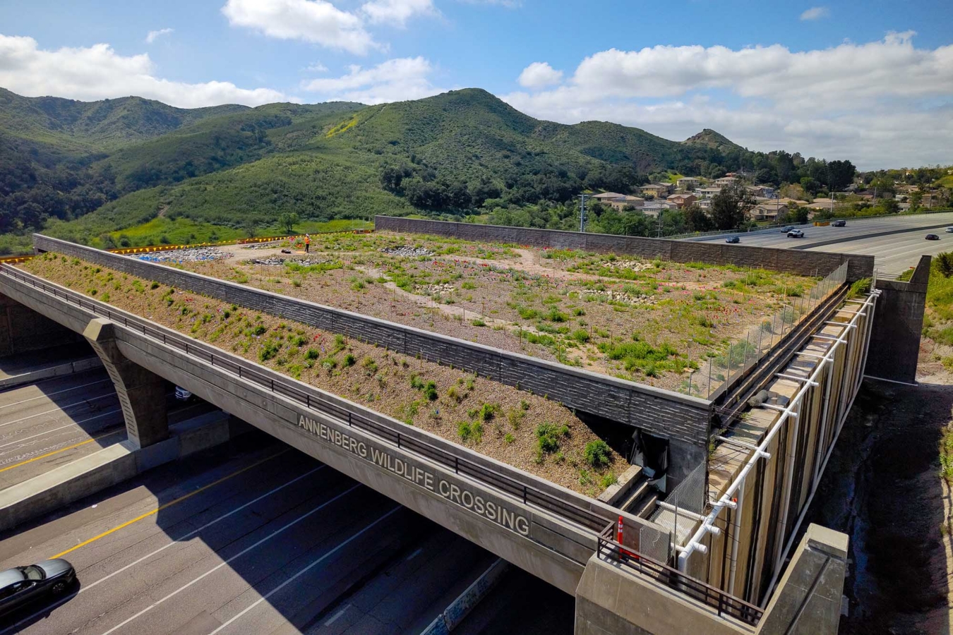 annenberg crossing (wide view)