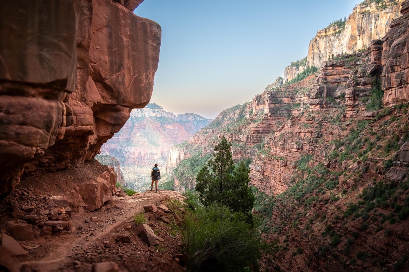 Hiker,Stands,At,An,Overlook,Along,North,Kaibab,Trail,Below