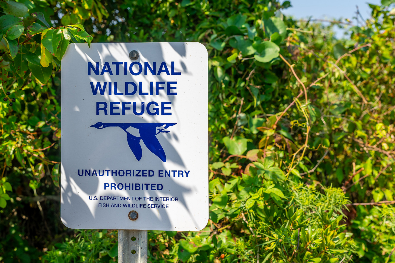 Wildlife Refuge