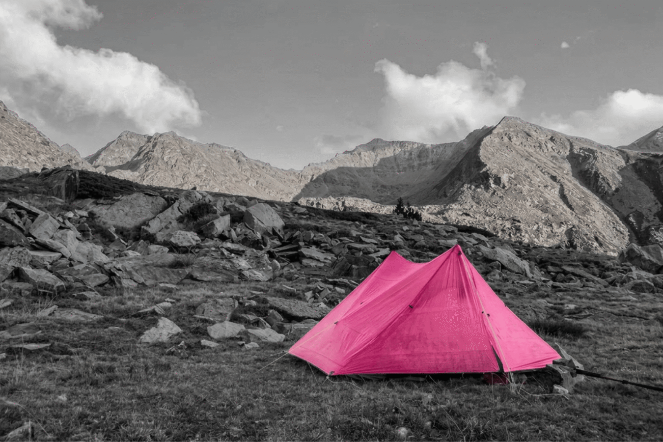 black and white photo with pink tent