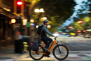 Gazelle_Ultimate_e-bike