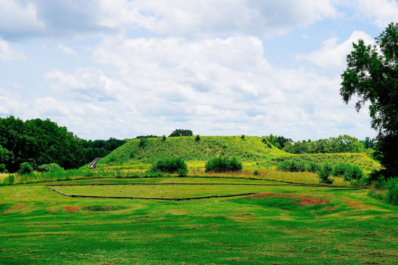 mounds in green plain