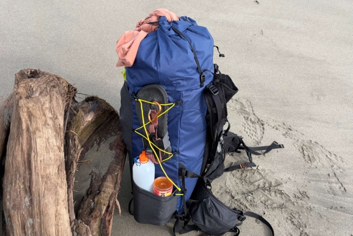 pack on beach