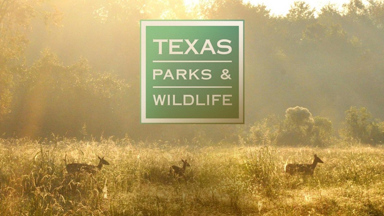 Texas Parks and Wildlife