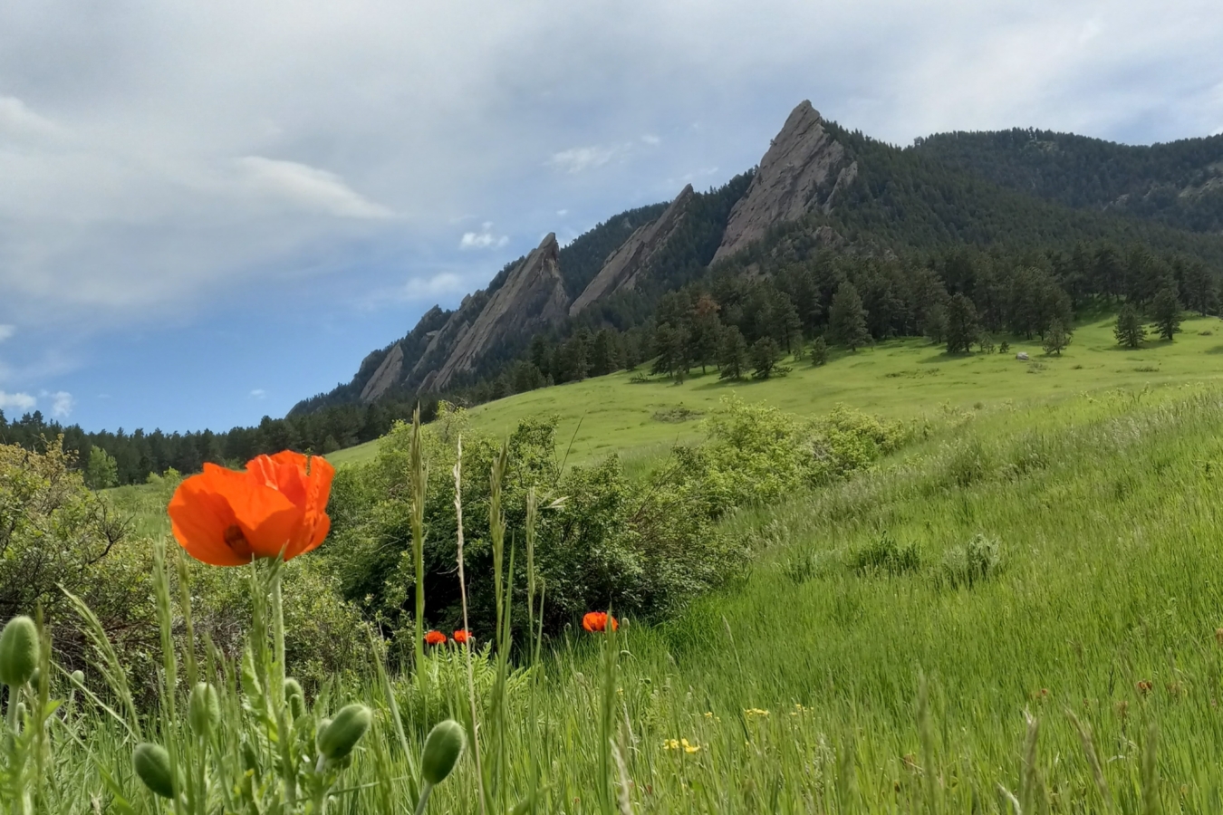 5 Iconic Urban Hikes With Healthy Trailside Eats 