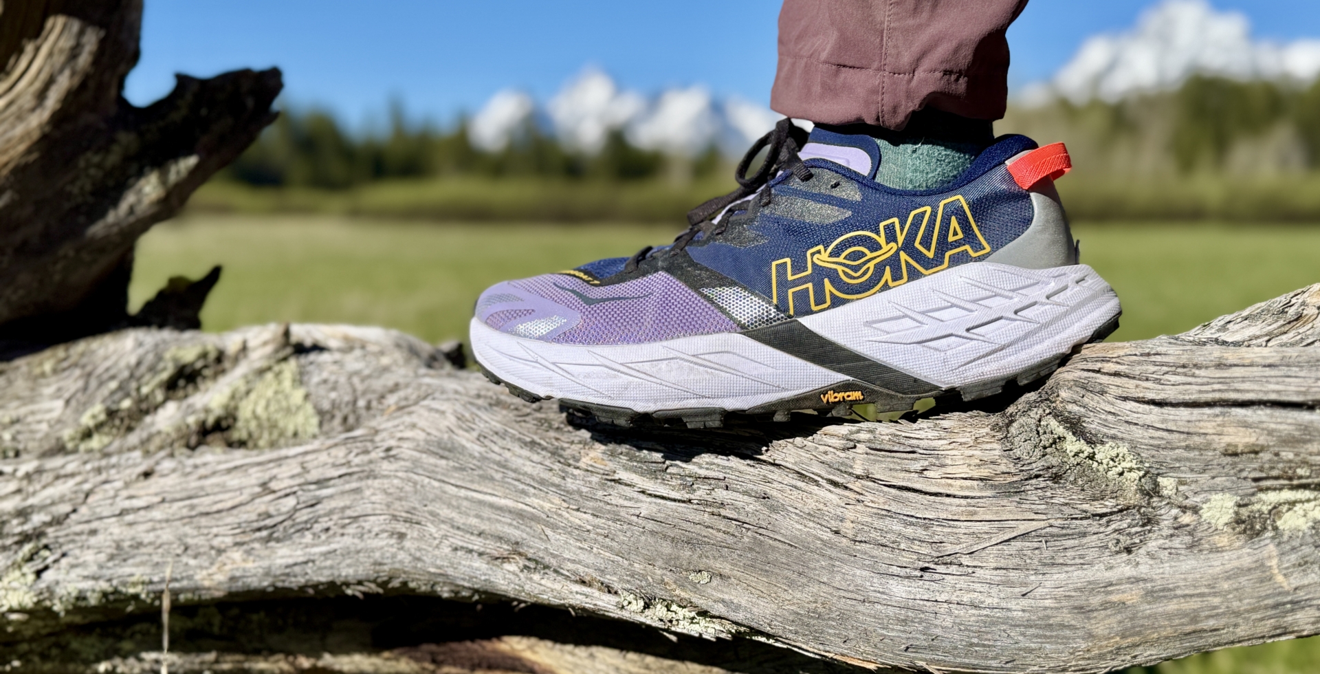 hoka speedgoat 7 close up with mountains in back