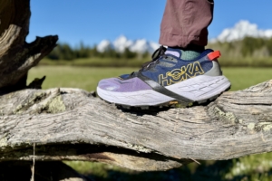 hoka speedgoat 7 close up with mountains in back