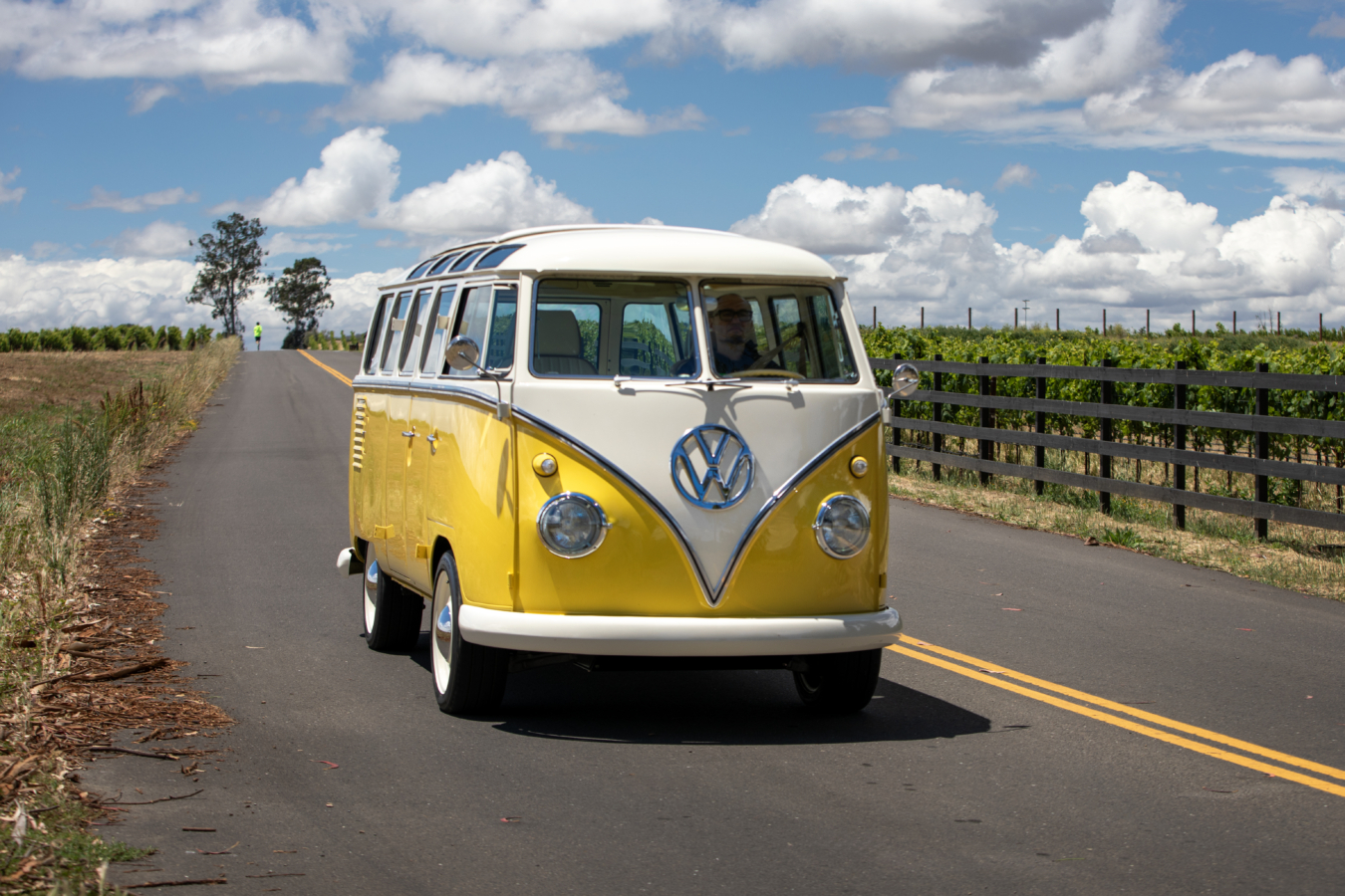 A yellow and white VW bus drives along a road next to grape vines.