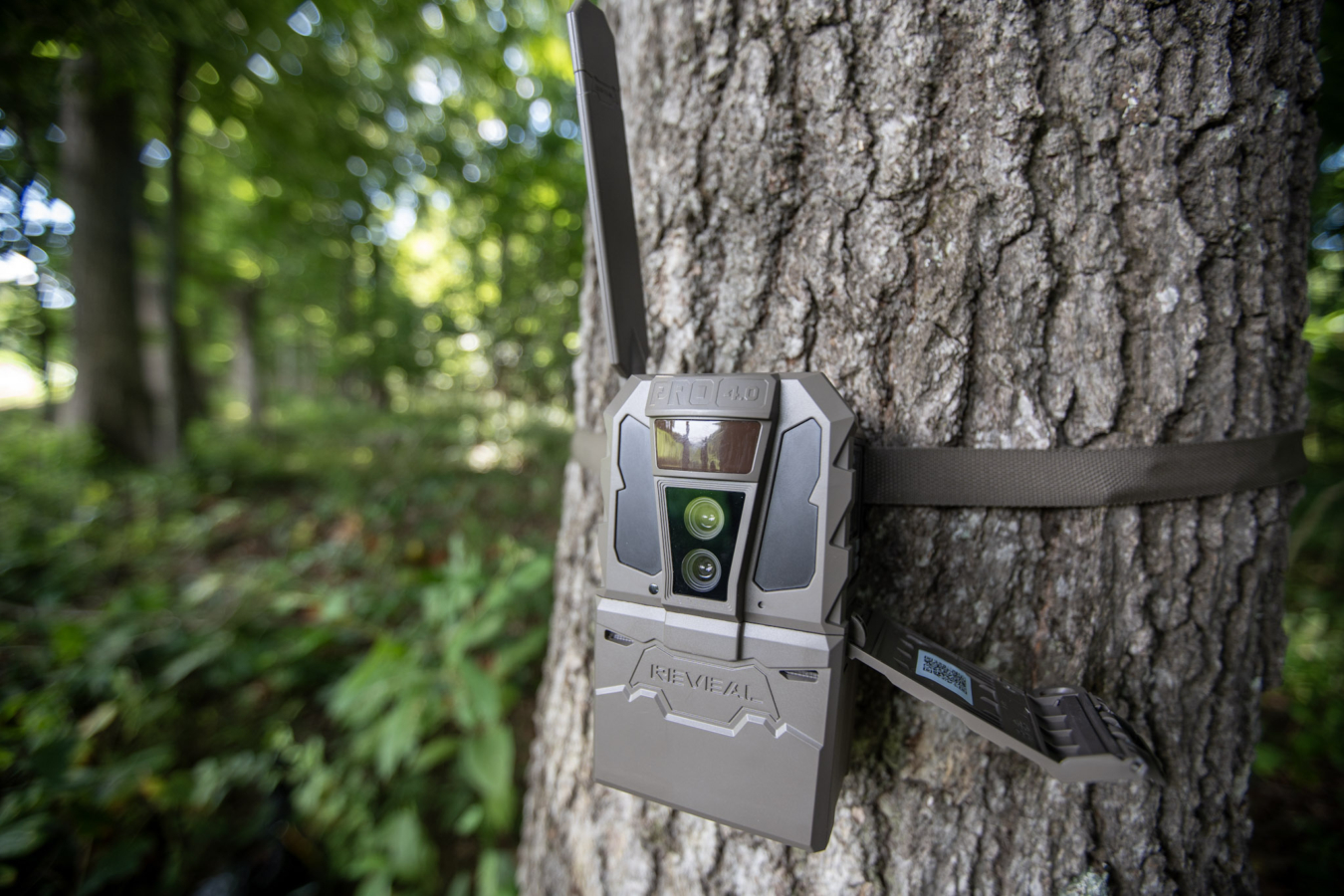 The TACTACAM REVEAL Pro 4.0 deployed on a tree in the woods.