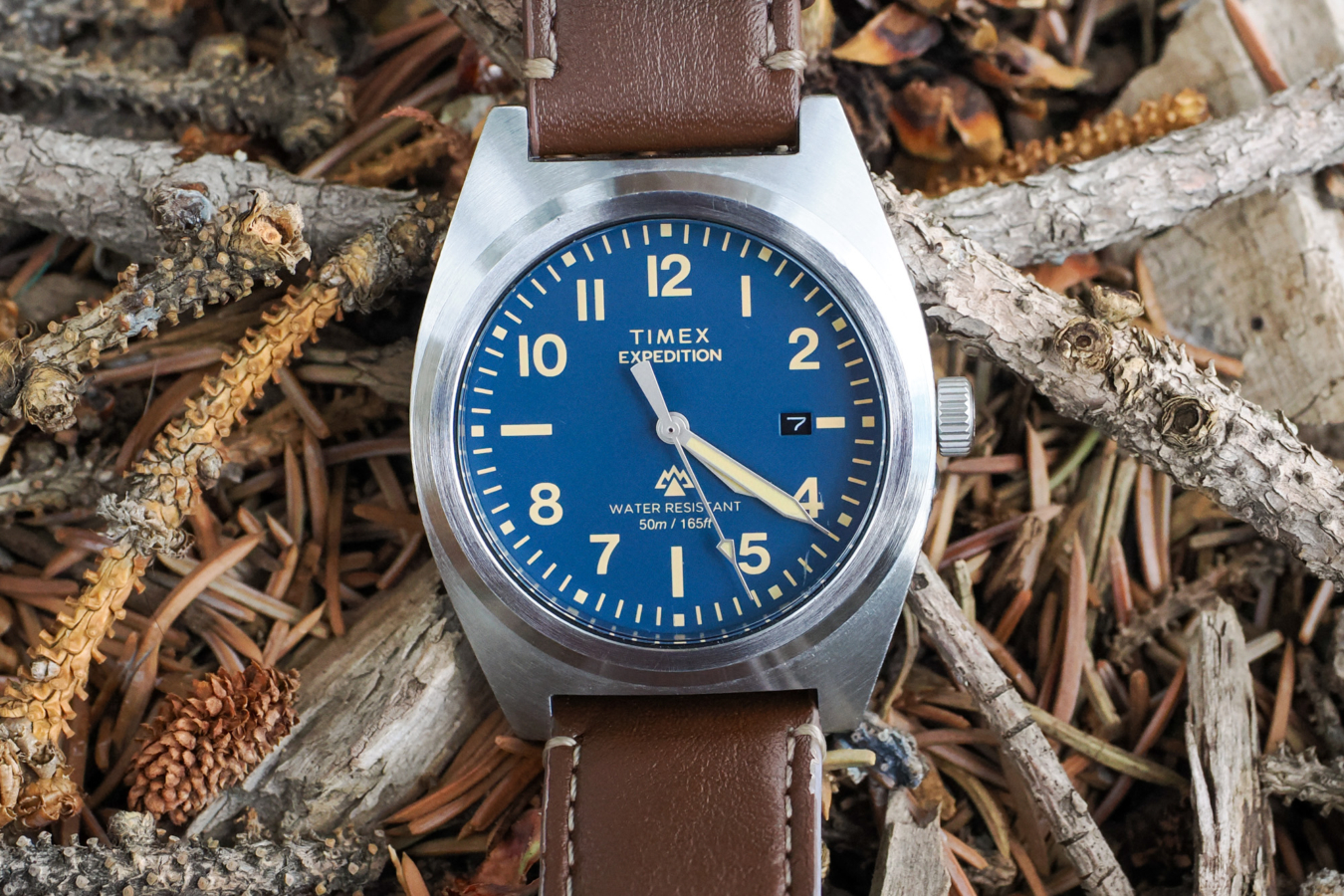 Timex Expedition Capstone watch