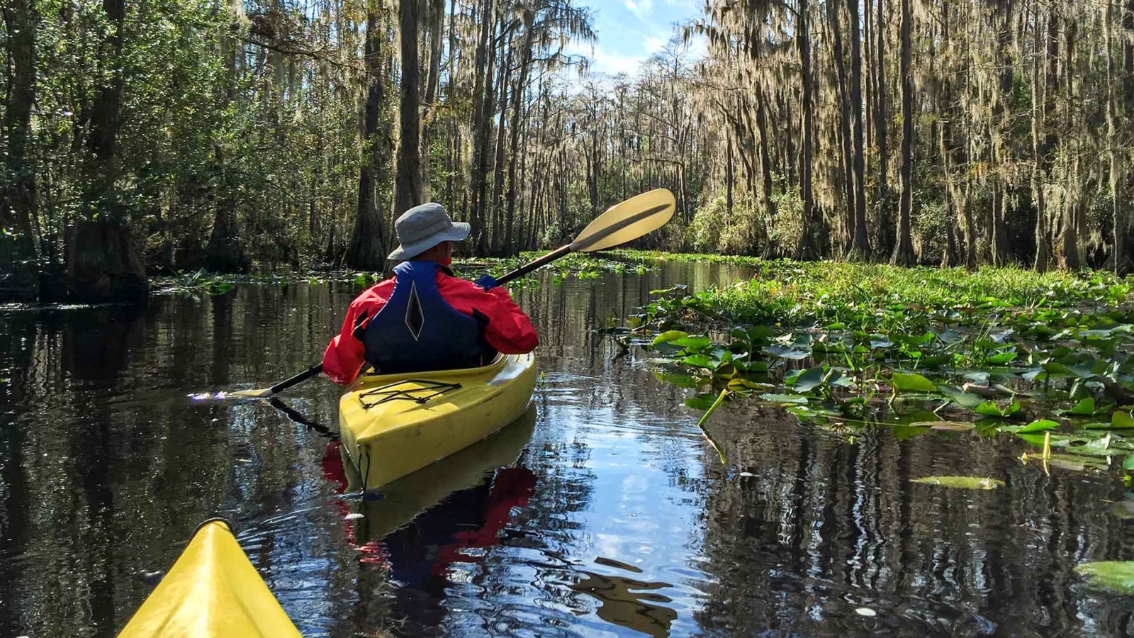 Kayaking,Couple,In,Okefenokee,Swamp,In,Georgia,,Usa.