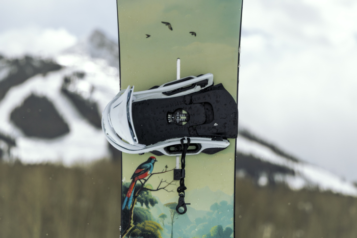Burton Step On system portrait