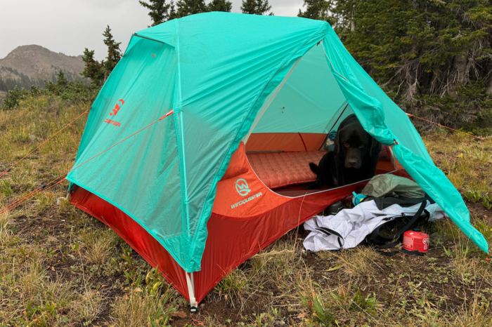 Horizon Lite tent with a dog inside and camping gear beside the open vestibule