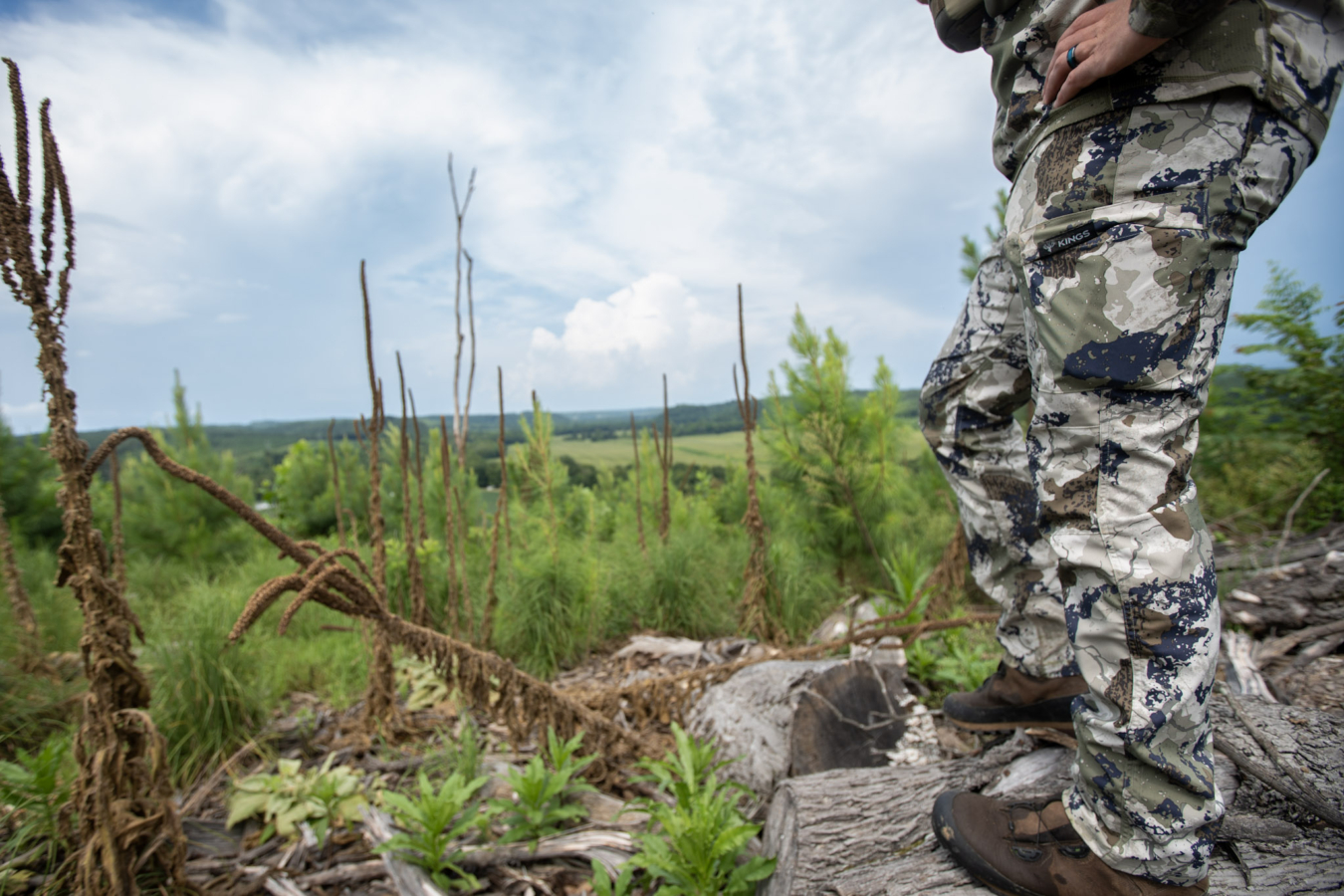 A man wearing the Kings Camo Hunter 2.0 pants standing on a log overlooking an open landscape.
