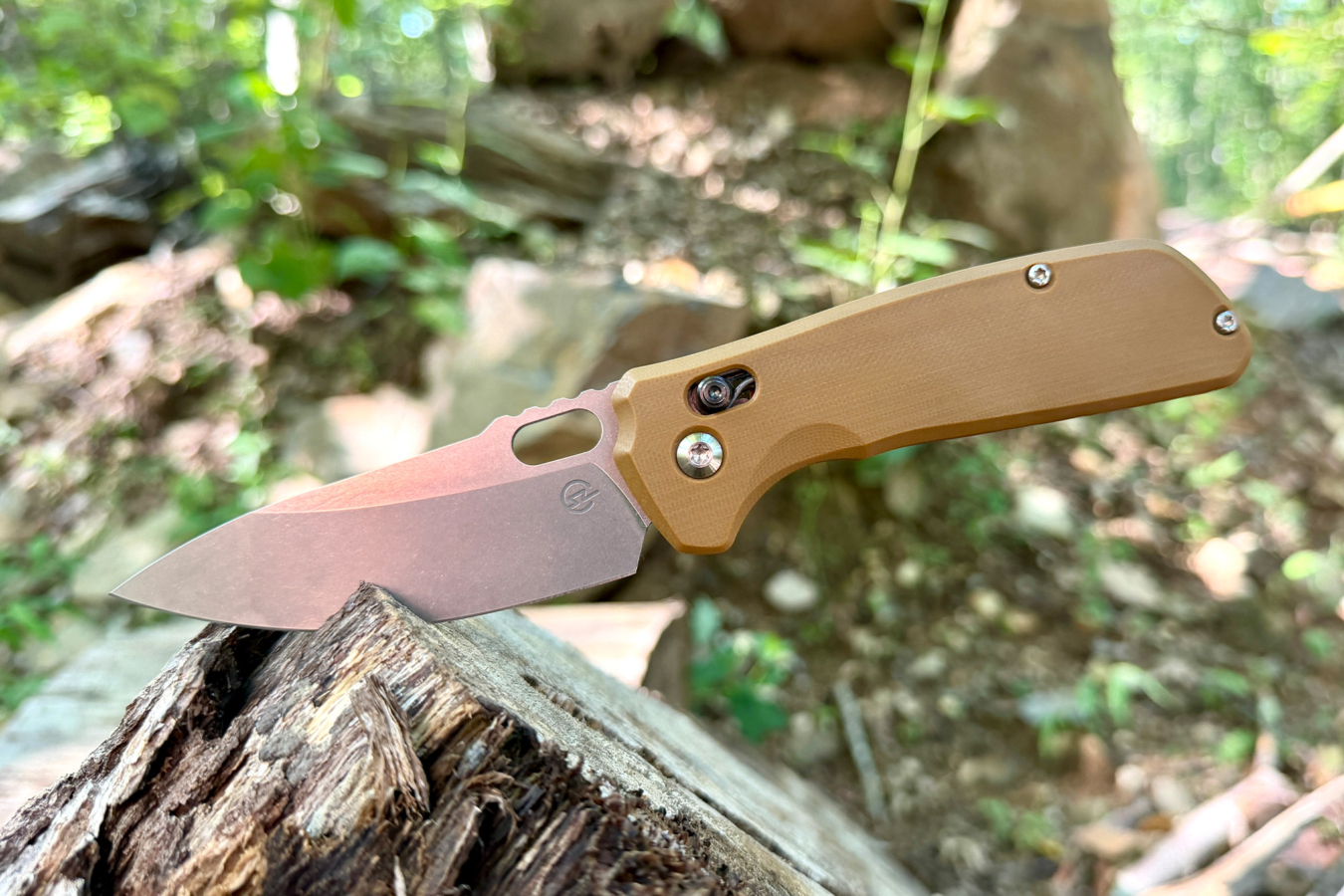 Schwarz Enduro knife with tan handle resting on a piece of wood outdoors