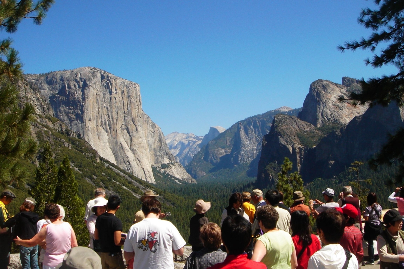crowds of people at overlook at yosemite viewpoint