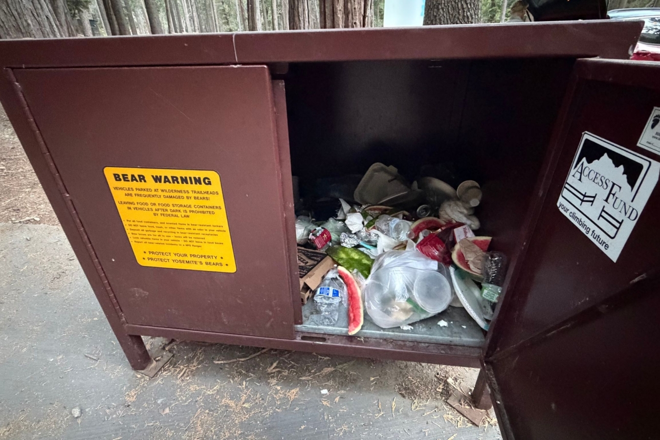 bear box full of trash