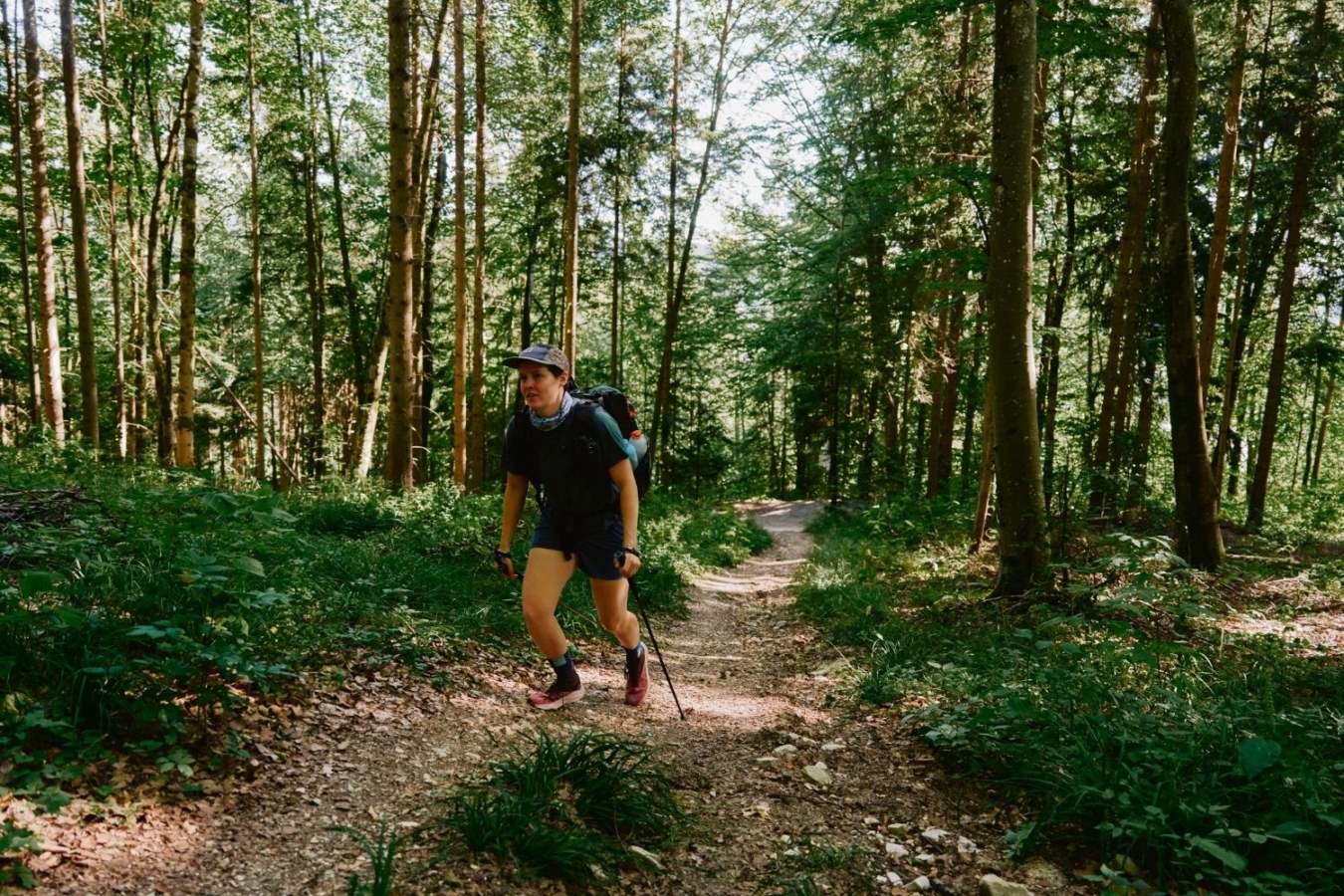 hiker goes through forest with poles