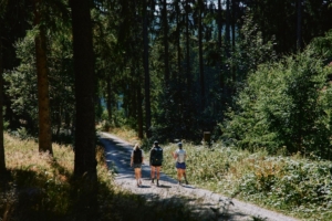rear view of three hikers on trail