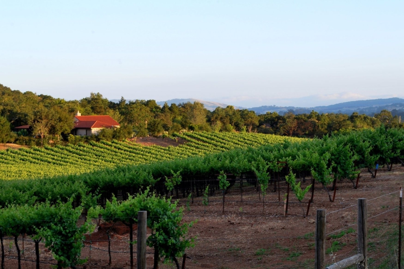 view of vineyard with house in background