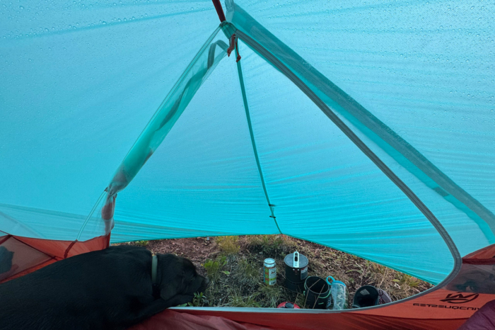 Windquester tent vestibule open with a dog resting inside and camping gear outside