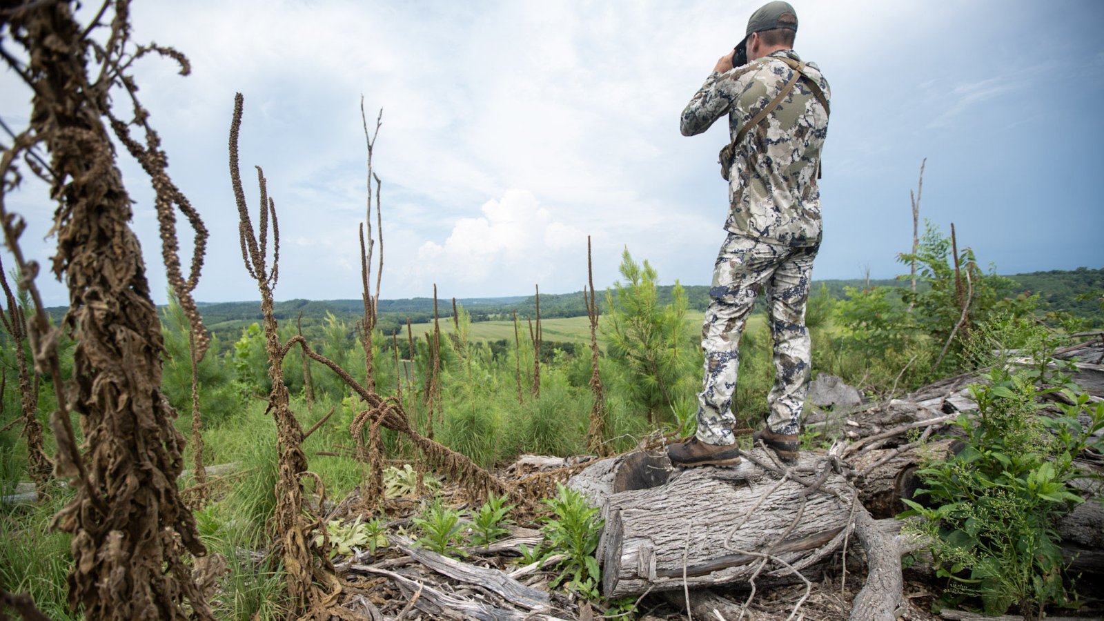 man glassing a forest in Kings Camo Hunter 2.0 pants