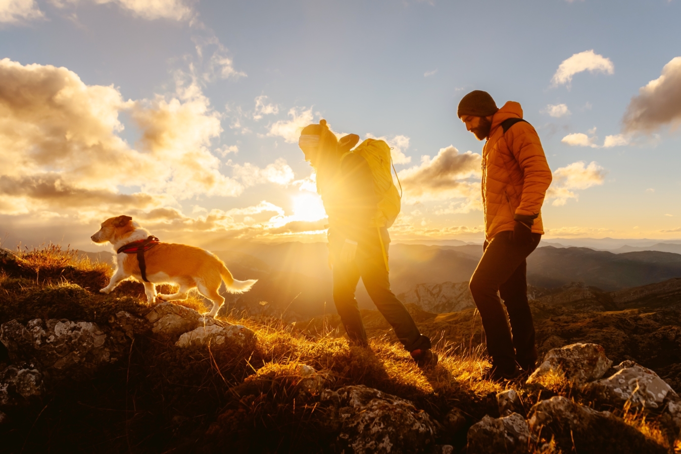 Why Outdoor Dog Lovers Should Pack This Instant Dog Food