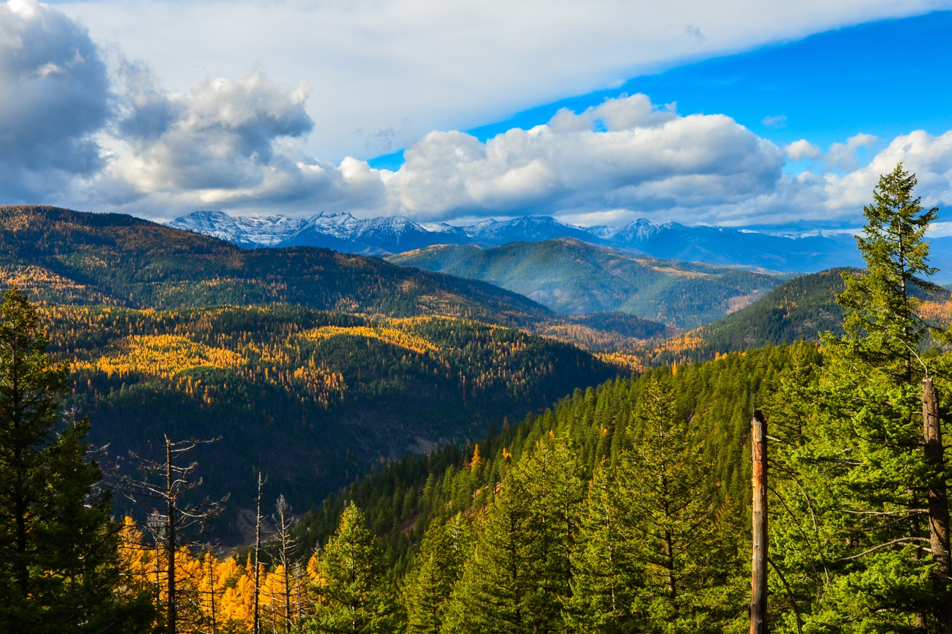 Cabinet Mountain Wilderness Libby Montana