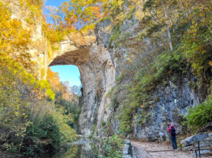 Hiker looks up at natural rock bridge surrounded by fall colors