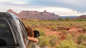 bears ears