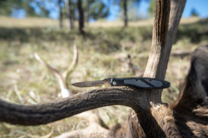 The Havalon Piranta Z resting on an elk's antlers with a forest in the backgroud.