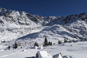 mountain covered in snow