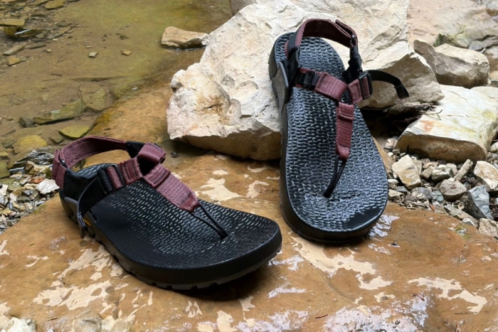 close-up shot of pair of wet sandals