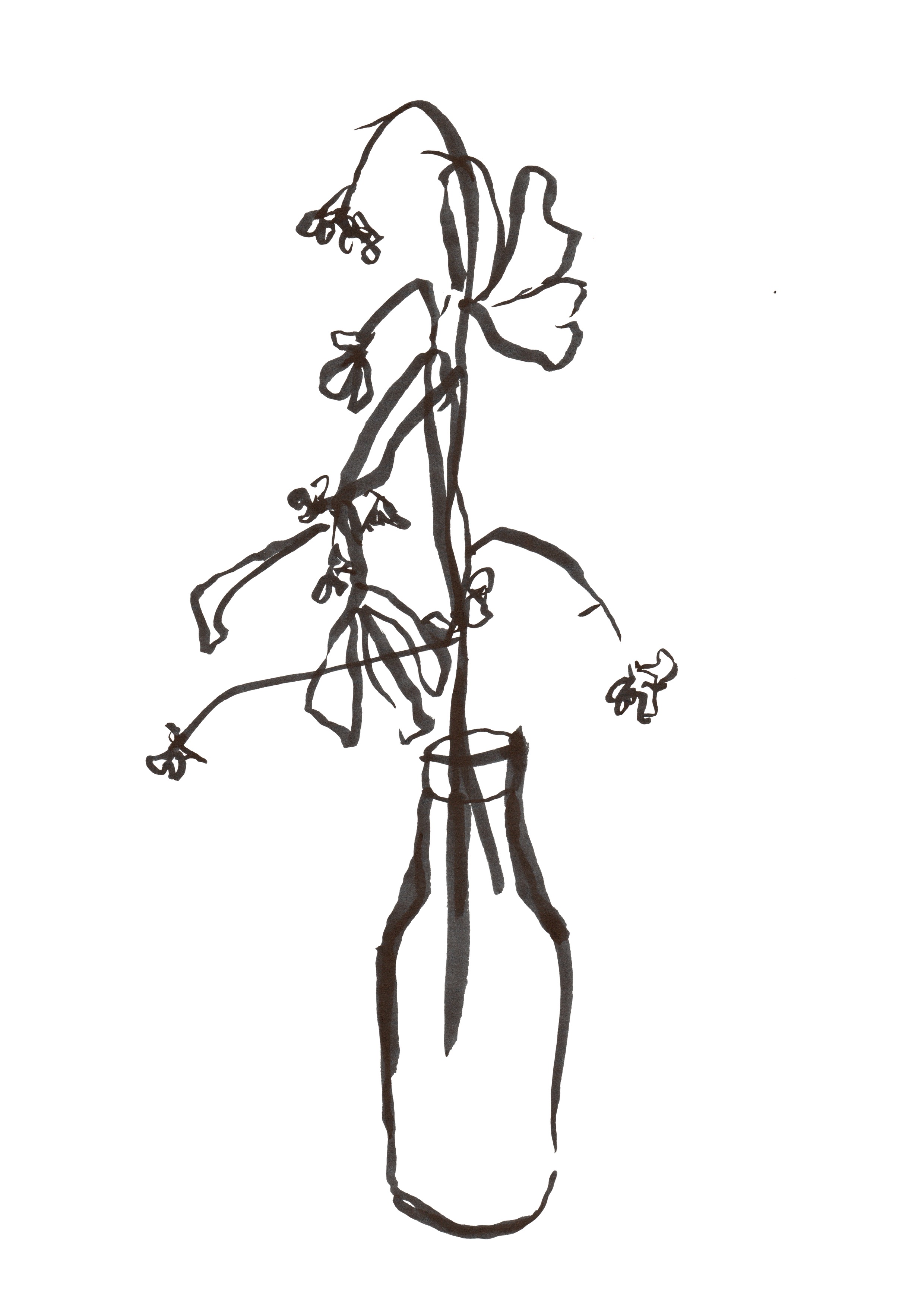 Wildflowers in bottle