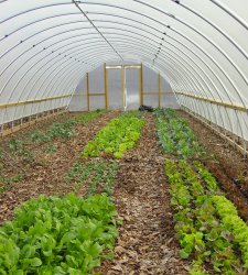 28 ft Greenhouse Frames
