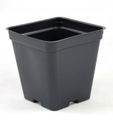 3.5 in. Black Square Greenhouse Pots - P86