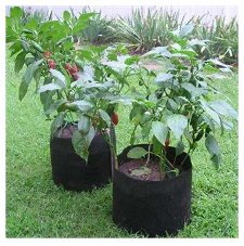 Smart Pots for Container Gardening