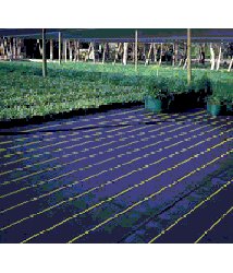 Polypropylene Ground Cover