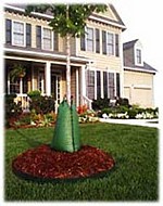 20 Gallon Treegator Drip Irrigation Bag