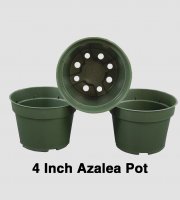 4 inch Azalea Individual Pots