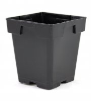 5.5 inch Square