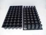 50 Round Cell Propagation Tray Case