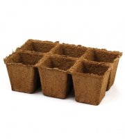 CowPots 3