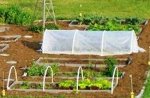 DuPont Pointbond Heavy Row and Seed Bed Cover
