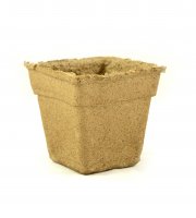 CowPots 5" Square Individual - Biodegradable