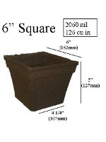 CowPots 6" Square Individual - Biodegradable