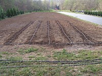 Master Gardener Kit