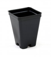 2.5 inch Deep Black Square Greenhouse Pots - P64 - Each or Case